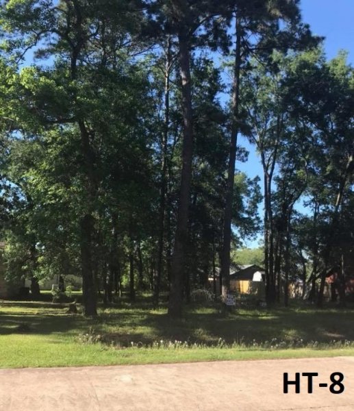 Foto Terreno en Venta en Houston, Texas - U$D 30.000 - TEV2420 - BienesOnLine