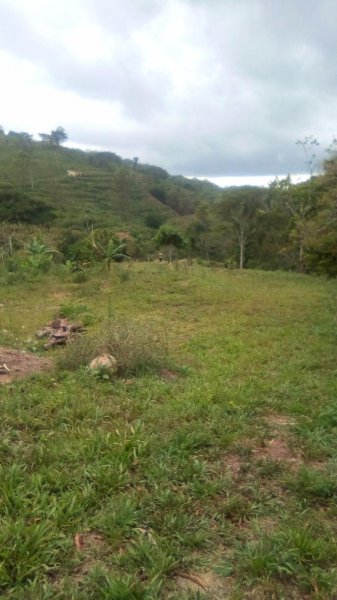 Foto Rancho en Venta en Puntarenas, Costa Rica, Florida - U$D 32.000 - RAV2776 - BienesOnLine