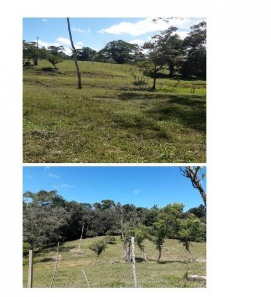 Terreno en Venta en Paraiso sixaola, Centroamérica