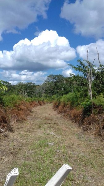 Rancho en Venta en Xpujil CALAKMUL CAMPECHE MÉXICO, New Mexico