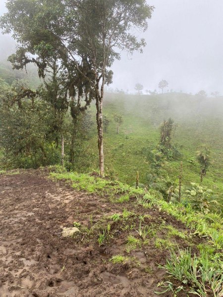 Granja en Venta en PICHINCHA ECUADOR, California