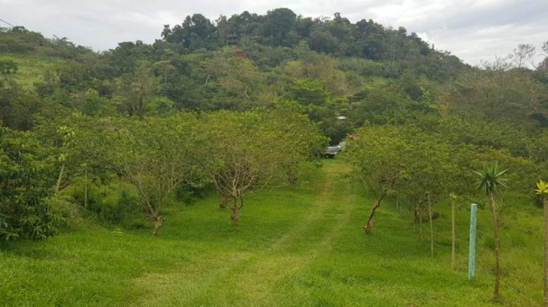 Terreno en Venta en San Ramon, Costa Rica -, Centroamérica