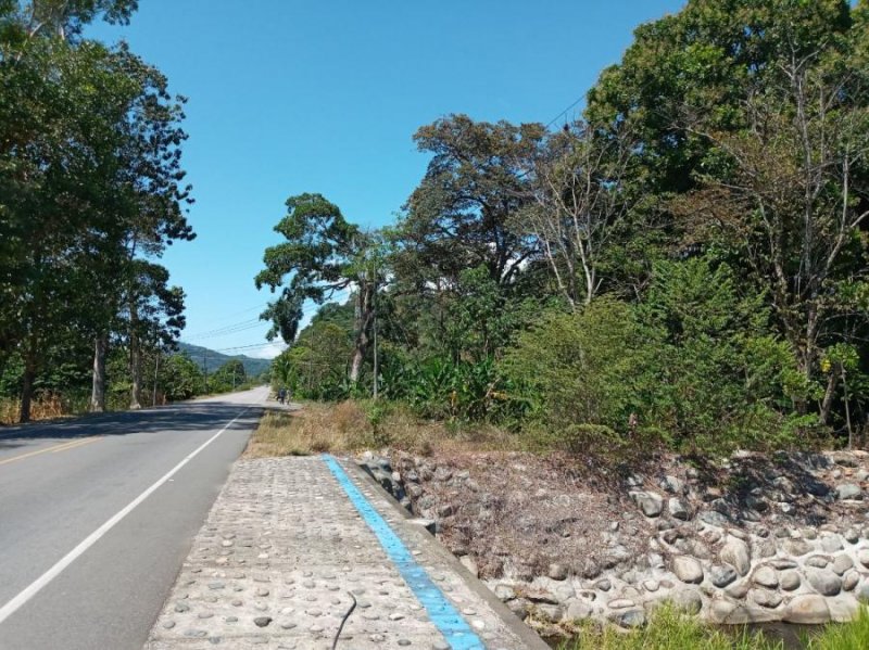 Terreno en Venta en Puntarenas Costa Rica, Centroamérica