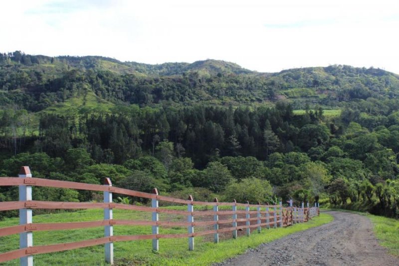 Terreno en Venta en CARTAGO, Turrialba, Tuis COSTA RICA, Florida
