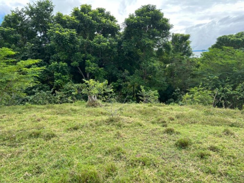 Terreno en Venta en Munoz Puerto Plata, Republica Dominicana, Centroamérica