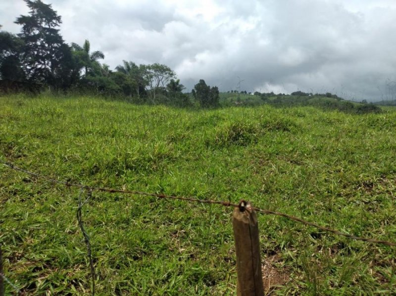 Terreno en Venta en San Ramón, Costa Rica ,, Centroamérica